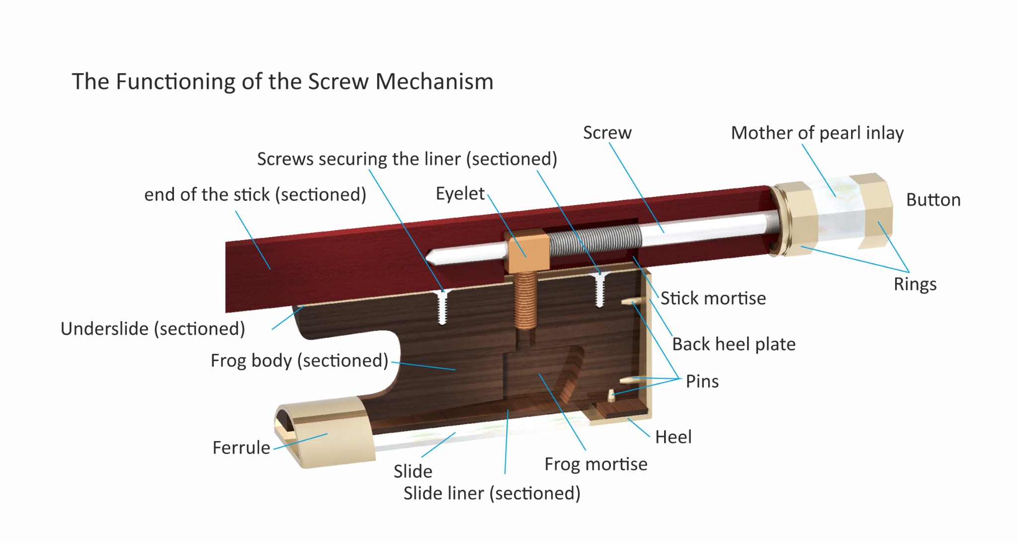 Schematic showing the internal construction of the frog, the end of the stick, and the button.